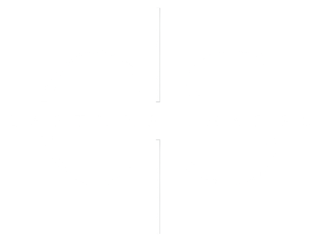 Capture Shades
